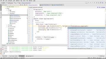 12 Angular 4 Tutorial   Form Validations #12