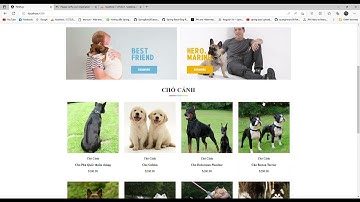 Website Petshop | Spring boot - Angular