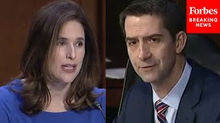 'I Asked A Simple Question': Cotton Grills Nominee For CIA General Counsel On The School Board Memo