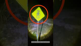 Ormanda Bu Tabelayı Görürsen Hemen Kaç