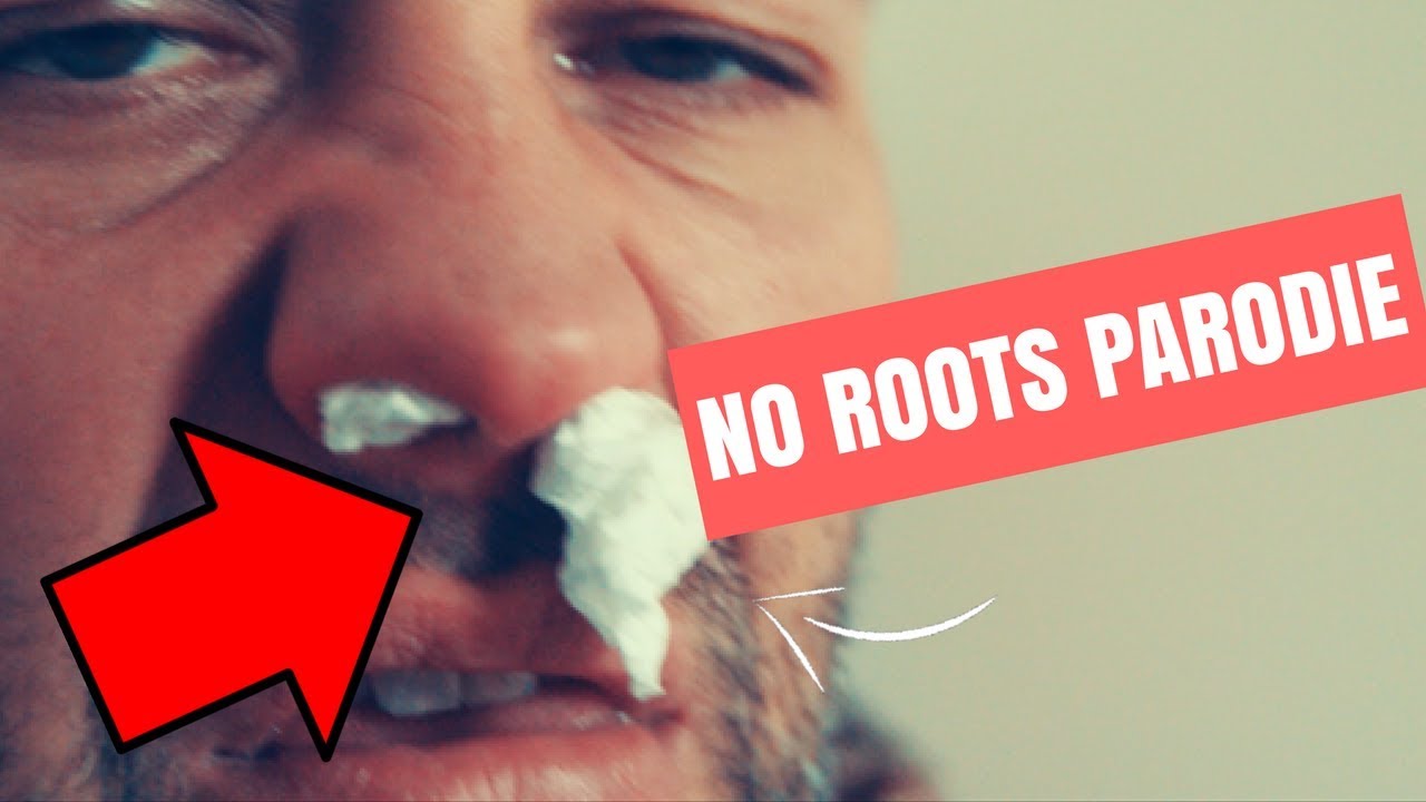 No Roots Cover Alice Merton No Roots Cover / Parodie by Studiotechniker Nullinger ...
