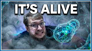 We JUST Discovered The Terrifying Truth About Fog (It’s Actually Alive)