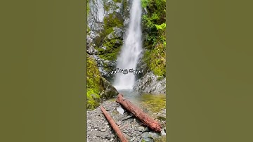 سورة الضحى الشيخ هشام الهراز