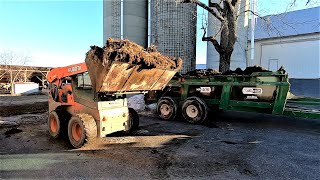 Cleaning Out the Bull Barn