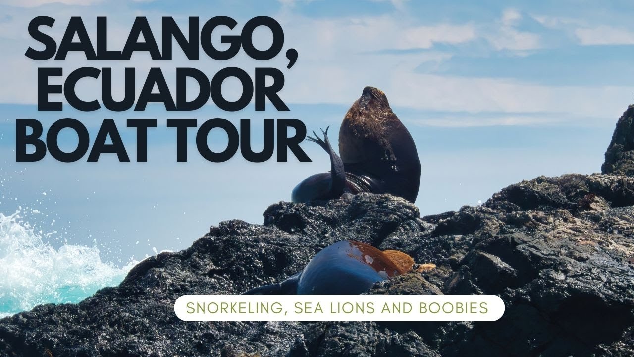 Boat Tour in Salango, Ecuador.  Snorkeling, Sea Lions and Blue-Footed Boobies