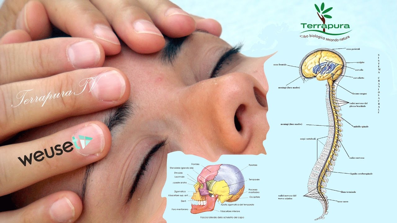 Massaggio o terapia craniosacrale (Carla Parrini) Medicina complementare, integrata o Massaggio o terapia craniosacrale (Carla Parrini) Medicina complementare, integrata o