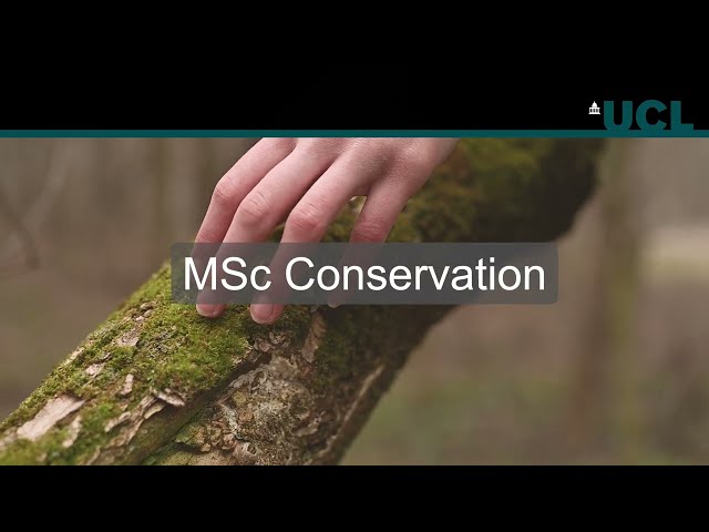 Watch MSc Conservation on YouTube.