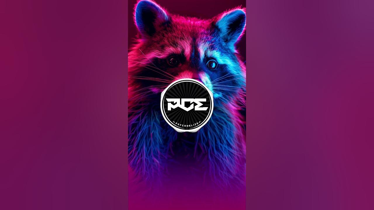 Raffaella Carrà - Pedro (Techno remix) TikTok Song