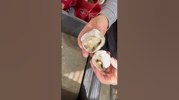 rock could be a geode #shorts #geode #breakingrocks