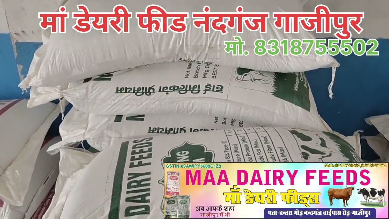 Maa Dairy Feeds All Product available in Ghazipur 