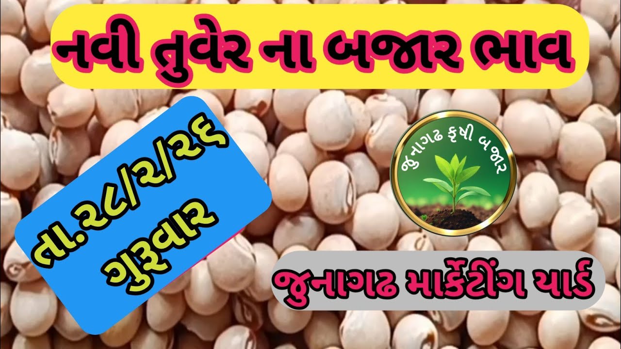 નવી તુવેર ના બજાર ભાવ જુનાગઢ માર્કેટીંગ યાર્ડ તા.૨૬/૨/૨૬