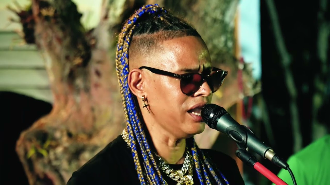 El mega debo esperar en vivo 