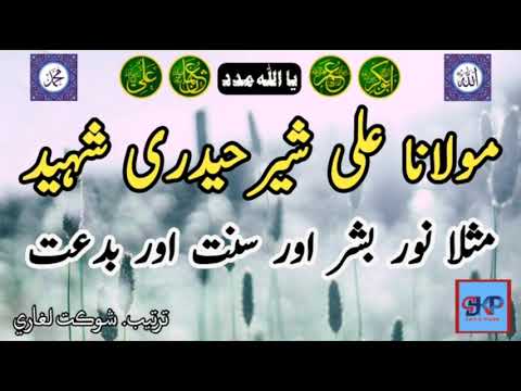 Allama Ali Sher Haidri Sahib | Urdu Bayan |  مولانا علی شیر حیدری صاحب