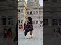 radhe radhe 🙌🏻#youtubeshorts #premmandir #vrindavan #music #radheradhe #dance #shortsviral #radhe