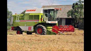 Claas Dominator 88!! Zetor 7340 Warfama!!Engine Sound zniwa harvest 2020!!