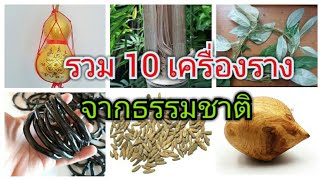 10 เครื่องรางทนสิทธิ์ | อาถรรพ์จากธรรมชาติ | fetish