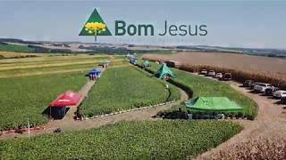 Manhã de Campo 2020 Cooperativa Bom Jesus em Palmeira PR - YouTube