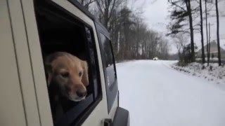 Greensboro Snow Day