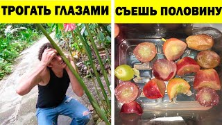 Люди, понимающие всё слишком буквально! (2 серия)