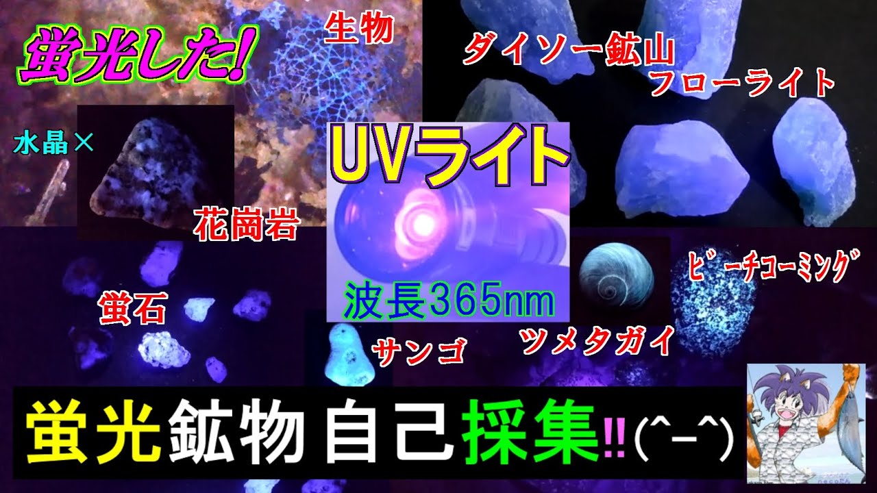It's fluorescent! I observed the fluorescence of the minerals I