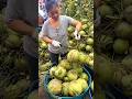 Thai Aunt's Amazing Coconut Fruit Cutting Skills #shorts