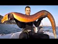 GIANT ANGRY EEL from a deep hole | Catch n Cook Recipe!!!