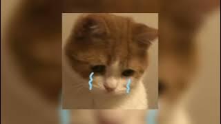 armada - dimabuk cinta slowed
