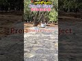 Low Cost Open Plots in Narakoduru || Open Plots and Farm houses|| Sri Bhramara RAAGA@Narakoduru||