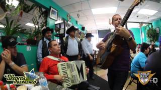 Video thumbnail of "Estilo Sucio: Mariscos con Los Alegres del Barranco"
