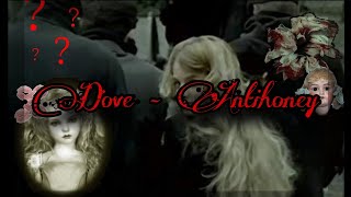 Antihoney - Dove [Doll Vers] (Türkçe Çeviri) Resimi
