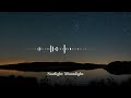 【EDM】Starlight Moonlight 【 EDM songs 2024 】