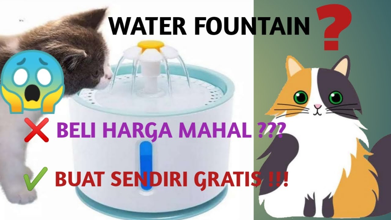 TUTORIAL CARA MEMBUAT TEMPAT MINUM KUCING OTOMATIS WATER FOUNTAIN
