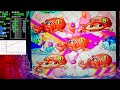 Pスーパー海物語IN沖縄6【沖海6】パチンコライブ配信 海物語ライブ生配信 こあげホール実践実機配信 『こあげ 1135 海物語Live』