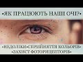 ЯК ПРАЦЮЮТЬ НАШІ ОЧІ? | ВІДЕОПРОЄКТ