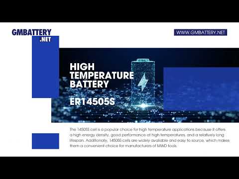What Is The Most Commonly Used Battery