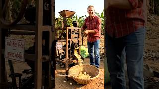 Amazing Hand-Crank Banana Slicing Machine 🍌 | Smart Farm Innovation You Need to See! #shorts