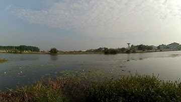 Câu cá lóc thiên nhiên tại Cần Giuộc Long An