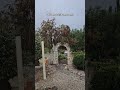 Rain, Rain Go Away! | Polemi Village, Paphos 24th May  #travelshorts #cyprus #weather