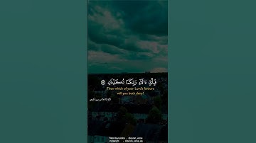قرآن كريم بصوت ماهر المعيقلى | حالات واتس اب دينية
