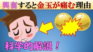 科学 なぜ興奮すると金玉が痛くなる Youtube
