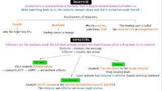 Efficacy, Potency, Graded & Quantal dose response curve. Chapter 2 Part 1. Katzung Pharmacology. Lecture 2 Part 1 Dose Response Curve