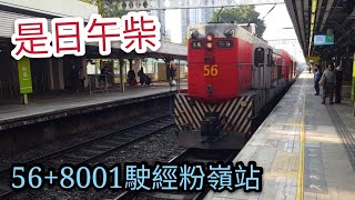 [是日午柴]港鐵GM及西門子柴油機車56+8001駛經粉嶺站