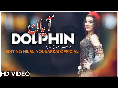 Dolphin Ayan Mast And Beautiful Dance On|| Jwand kawam sandari rala rawra|| By Awesome Music