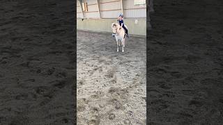 Se mit nyeste opslag 👀 💘 #equestrianjourney #equestrian #horse #pony