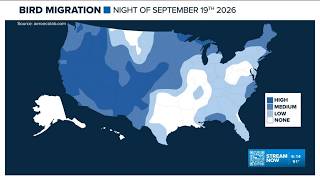 Fall migration underway for birds