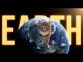 SRN - OIIA OIIA (Watching Cat) | The Cycle of Earth  #OIIAOIIA #SpinningCat #EDM #MemeRemix