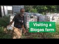 Visiting a Biogas Farm | Biogas in Apartments | हिन्दी with Subtitles