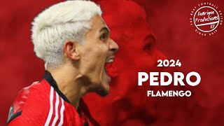 Pedro ► CR Flamengo ● Goals and Skills ● 2024 | HD