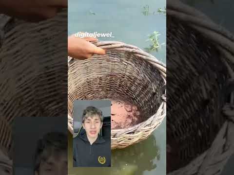 Как легко понимать рыбу.🐟🎏🐟🎏#4294 #satisfyingvideo#satisfying#oddlysatisfying#shorts