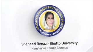 Shaheed Benazir Bhutto University Naushahro Feroze Campus, Sbbu Nfc Near Boys Degree College Nf